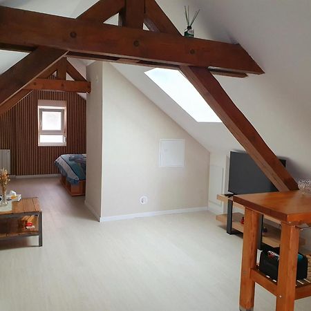 Appartement Cosy Proche Centre Colmar Exterior foto